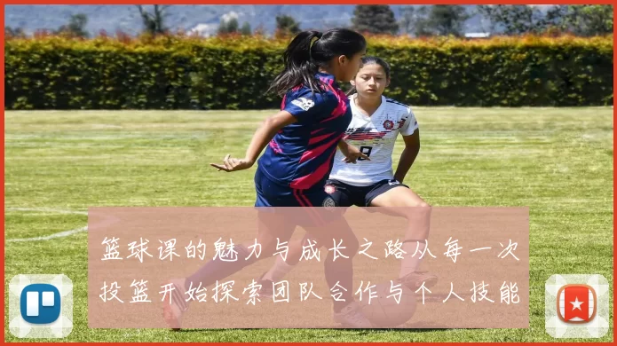 篮球课的魅力与成长之路从每一次投篮开始探索团队合作与个人技能的提升