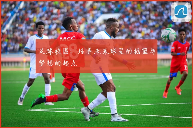 足球校园：培养未来球星的摇篮与梦想的起点